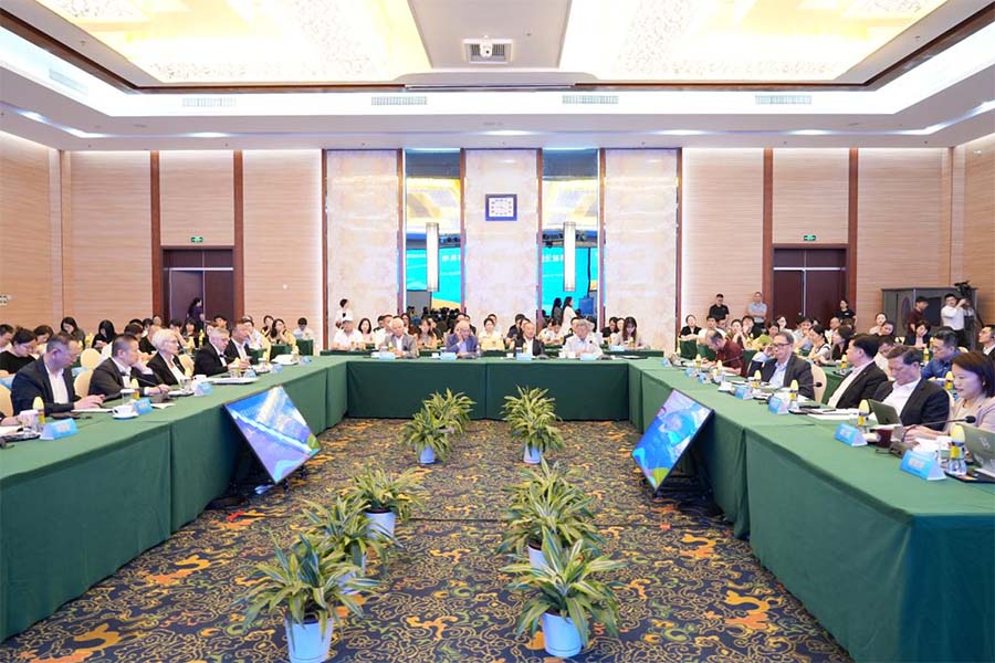 吴士存出席“世界政治经济格局变化下的海南自由贸易港座谈交流会”